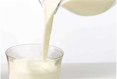 纯牛奶和酸奶好处多多，哪个更有营养？如何选择更适合你的牛奶？