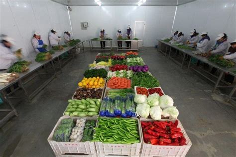 乌鲁木齐：创新经营模式 蔬菜副食品直销点进商超方便居民-天山网 - 新疆新闻门户
