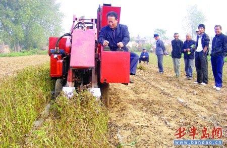 胶南农民5年研制出花生收割机(图) - 金谷粮食网