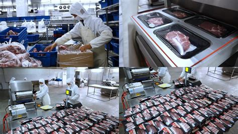 肉类食品加工素材-肉类食品加工图片素材下载-觅知网