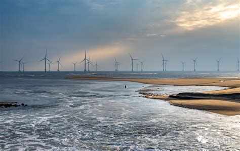 绿色领航 蓝海起舞——秀屿区创建国家级水产健康养殖和生态养殖示范区 - 产业经济 - 秀屿新闻网