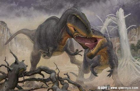 恐龙战争：南边巨兽龙vs蜥结龙，凶兽战争