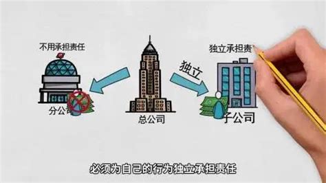 深圳创业平台：图说子母公司、总分公司的区别-问明途