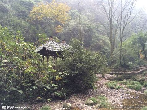 青城后山索道 青城后山门票 青城后山游玩攻略_旅泊网