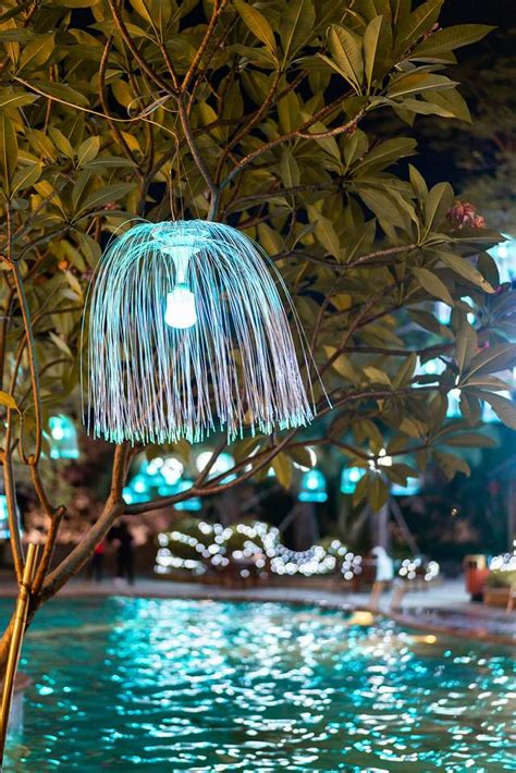 2022惠州康帝国际酒店游泳池玩乐攻略,成为了水下最美的人鱼，而将...【去哪儿攻略】