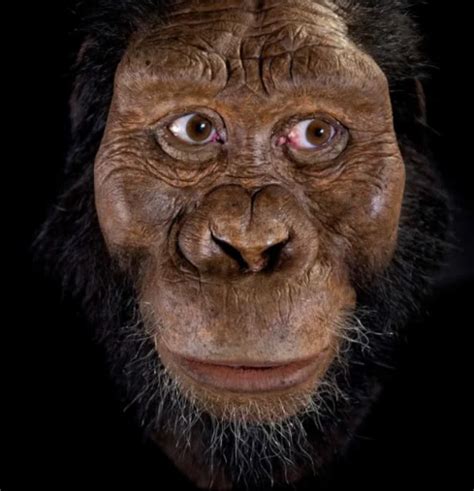 人类的祖先真的是猴子吗 ？看神话中的人类起源就知道了 | 说明书网
