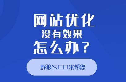 网站优化没有效果怎么办？_野狼SEO团队