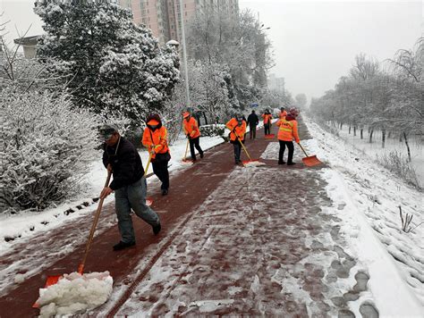 市渭河生态公园及时清除积雪 确保市民出行安全-西部之声