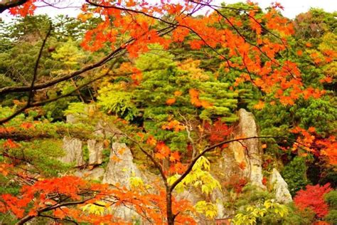 从俳句的季语看日本的秋天_季节