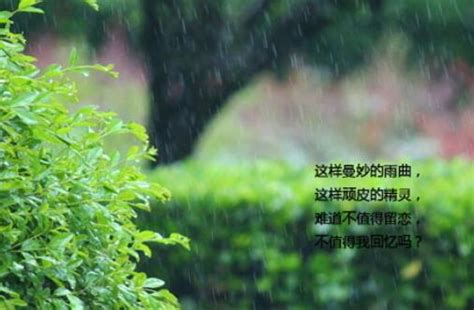 形容在雨中走的语句,一个人在雨中的句子,一个人雨中漫步的句子_大山谷图库