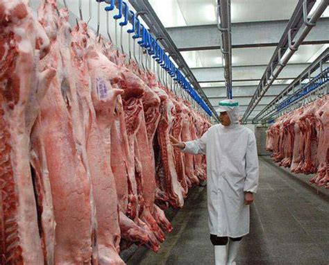 冷库储存的258只山羊肉变质原因及其损失进行司法鉴定-臻冠达农业科技