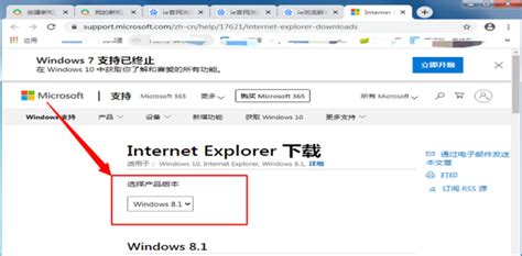 IE11(Internet Explorer 11)_官方电脑版_51下载