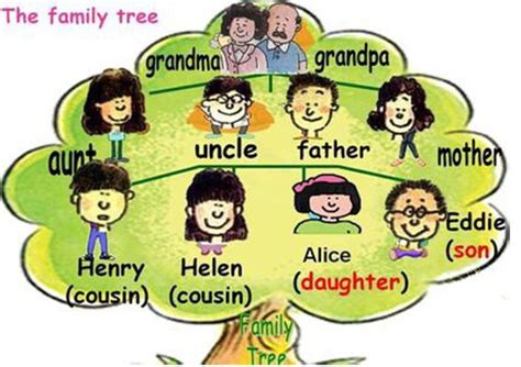 20个关于家庭成员的英语单词-家庭成员的英文单词有哪些？