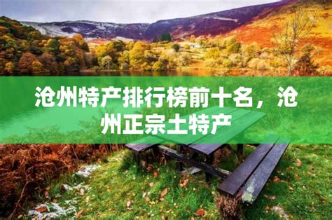 沧州十大公园广场排名，人民公园位居第三_巴拉排行榜