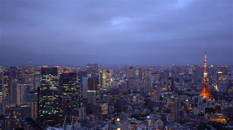 2024真正站在高处，俯瞰这座城市，内心非常震撼。而东京唯一免费的看夜景的地方就是东京都厅。必须消费才能进_东京都厅观景台-评论-去哪儿攻略