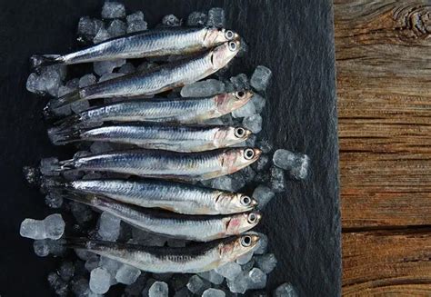 沙丁鱼怎么做好吃法 - 业百科