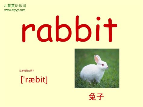 乐乐鱼兔子有声挂图早教发声挂画 儿童识字拼音汉字挂图-阿里巴巴