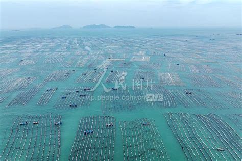 浙江舟山：万亩海中同致富-人民图片网