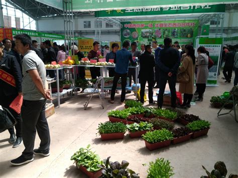 长平顺天合作社：扩大蔬菜种植规模 助力农户增产增收_高平市人民政府网