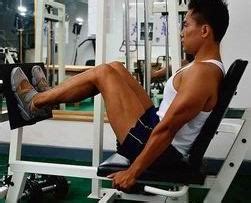 最全面的腿部肌肉锻炼方法_健网