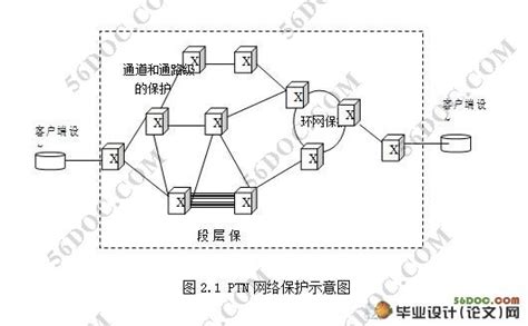 分组传输网(PTN)组网应用|其他|计算机