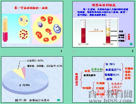 血液分层示意图图片