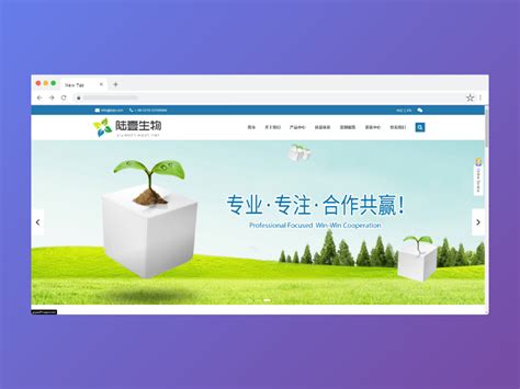 惠水政府门户网站群主站LOGO - 艺点创意商城