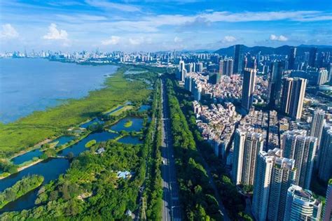什么是“海绵城市”？深圳这52个优秀项目告诉你！_深圳新闻网