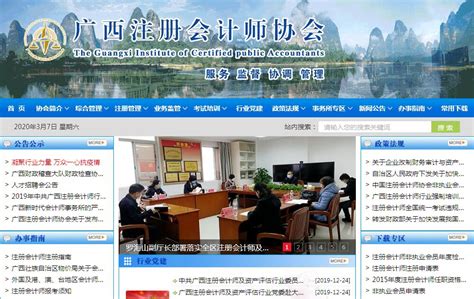 中国注册会计师协会成绩查询入口官网：网报系统（https://cpaexam.cicpa.org.cn）-会计网