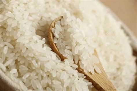 好的普通大米有点粘要如何改善加工成河粉呢？-