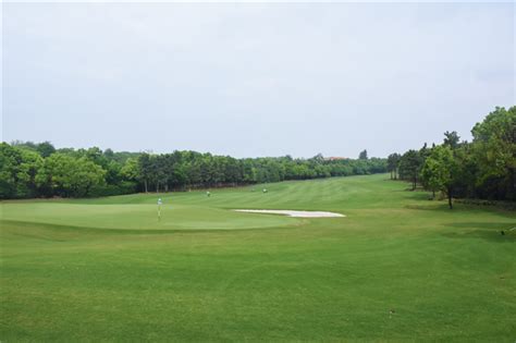 [转载]golf71:东莞凤凰山高尔夫球场A场攻略 2012.7.2_春生_新浪博客