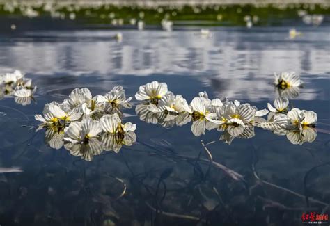 6月一定要去泸沽湖看看，那是中国最“水性杨花”的地方__财经头条