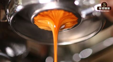 1 shot espresso是多少ml咖啡？意式浓缩咖啡double shot什么意思 中国咖啡网