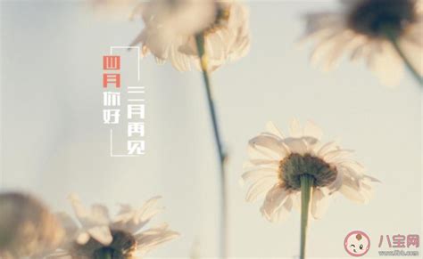 三月再见大全图片