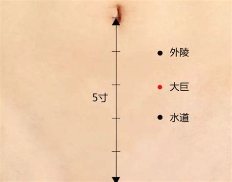 大巨的准确位置图图片 大巨的准确位置图图片