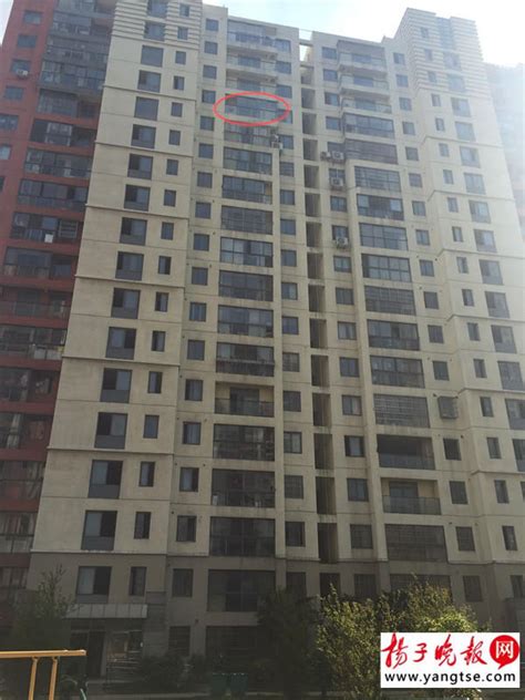 3岁男童从15楼坠落奇迹生还：脸把地砸出坑-新闻中心-中国宁波网