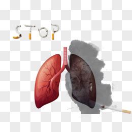 吸烟人的肺图片免费下载_PNG素材_编号vr7ied33y_图精灵