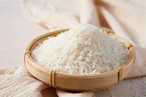 米分哪三种,各种各样的米有哪些,所有米的种类(第12页)_大山谷图库