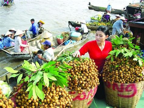 中国是越南农产品最大出口市场 | 经济 | Vietnam+ (VietnamPlus)
