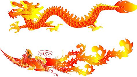 中国神话中十大上古神鸟，朱雀上榜，第一是传说中的百鸟之王_排行榜123网