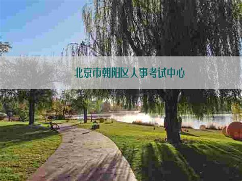 北京市朝阳区人事考试中心_www.cpta.gov.cn