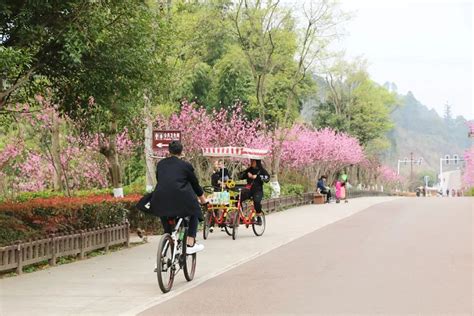 乐山“嘉州绿心公园”绿心环线-麻辣摄影-麻辣社区