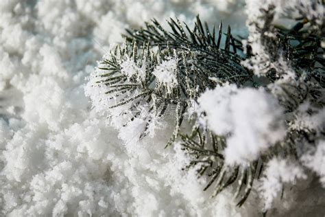 冬季雪地背景图片-雪与模糊的圣诞冬天背景素材-高清图片-摄影照片-寻图免费打包下载