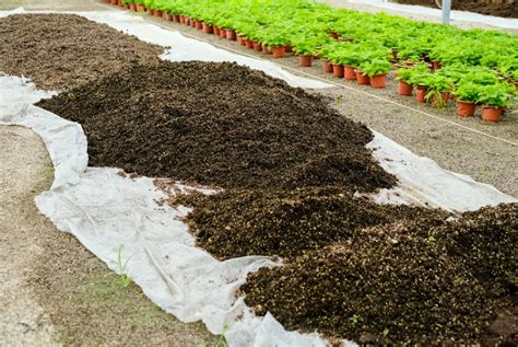 育苗专用泥炭 草炭土 出口特级 花卉苗木水果蔬菜 栽培育苗基质-阿里巴巴