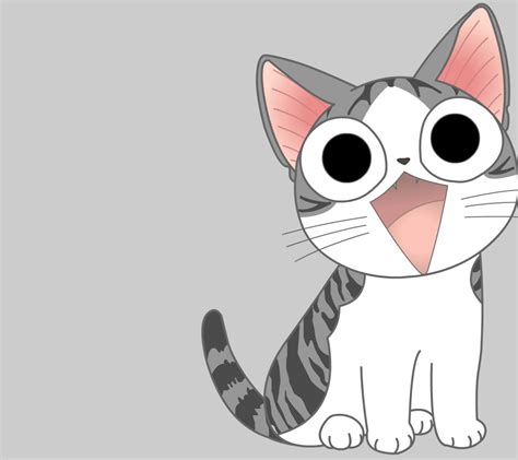 起司猫图片