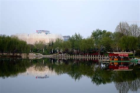 山东省人民政府 菏泽 春天的赵王河
