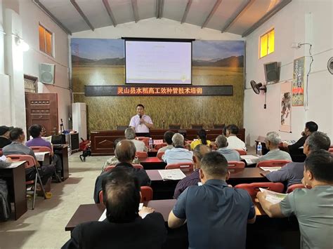 广西农技协、广西科普传播中心到灵山县开展水稻高工效技术培训|手机广西网