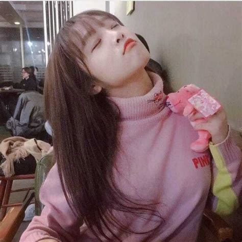 pd48图片