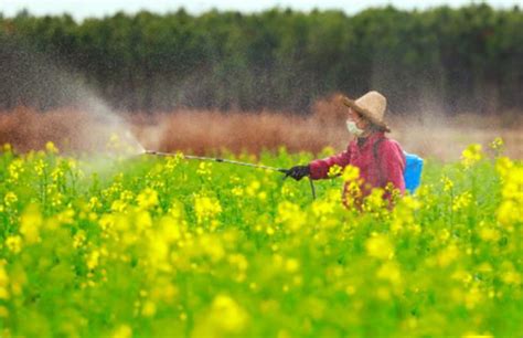 “倒春寒”来临 农作物预防措施看这里_中国农科新闻网