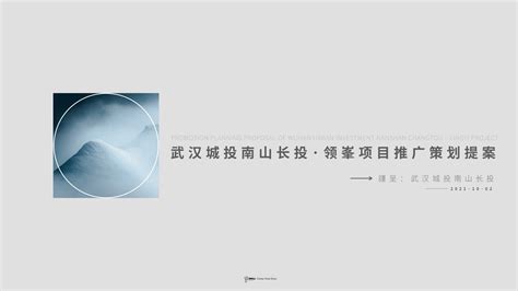 2022上海博加-武汉南山·领峯推广策略163页【pdf】 - 房课堂
